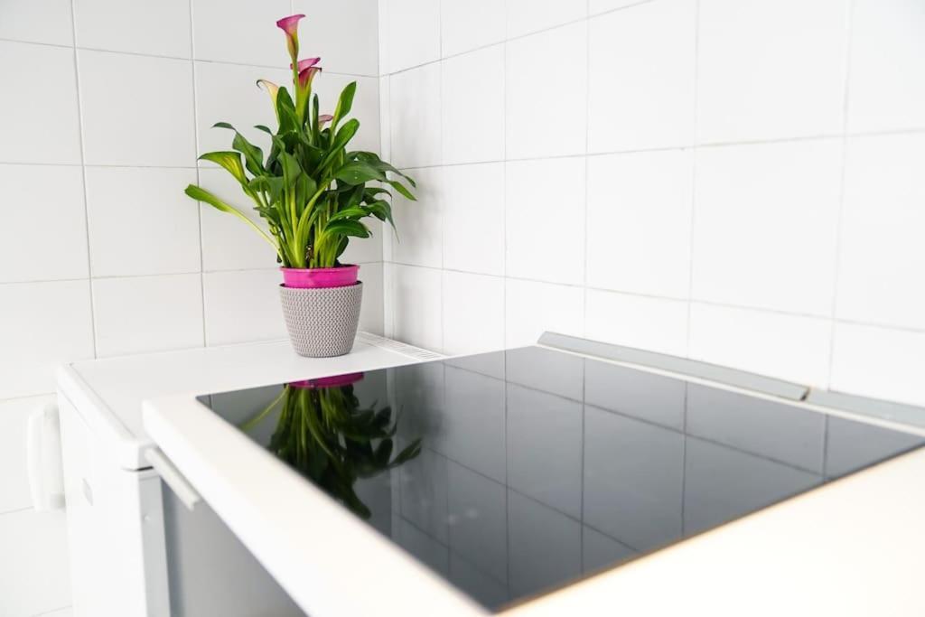 Babuino Terrace Apartment Rome Luaran gambar